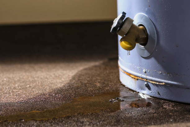 Best Commercial water damage restoration  in New Vienna, OH