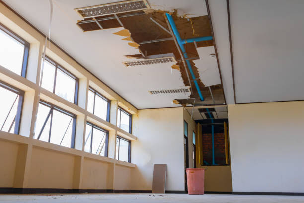 Best Carpet water damage restoration  in New Vienna, OH