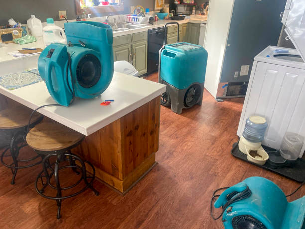 Professional Water damage restoration in New Vienna, OH