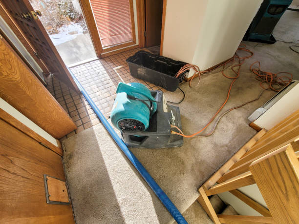  New Vienna, OH Water damage restoration Pros